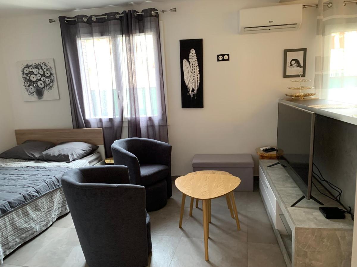 Grand Studio Tres Agreable Avec Bar, Cuisine Et Terrasse كانيو سور مير المظهر الخارجي الصورة